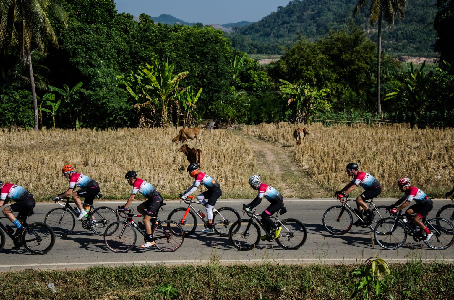 cycling trips thailand